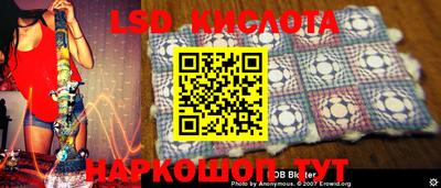 крисы Кулебаки