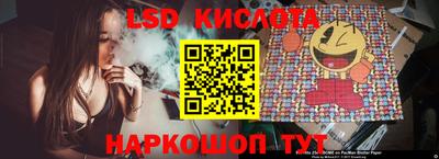 крисы Кулебаки