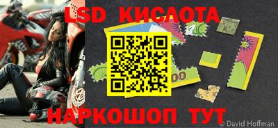крисы Кулебаки