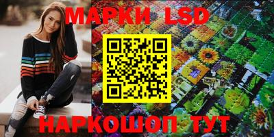 крисы Кулебаки