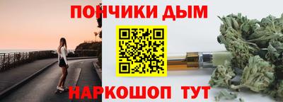 крисы Кулебаки