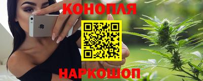 крисы Кулебаки