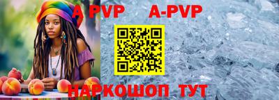 стаф Кунгур