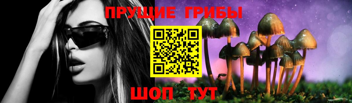 Галлюциногенные грибы мицелий Канаш